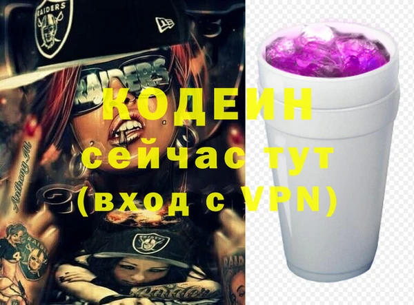 хмурый Иннополис