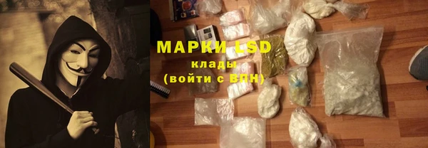 стаф Инсар