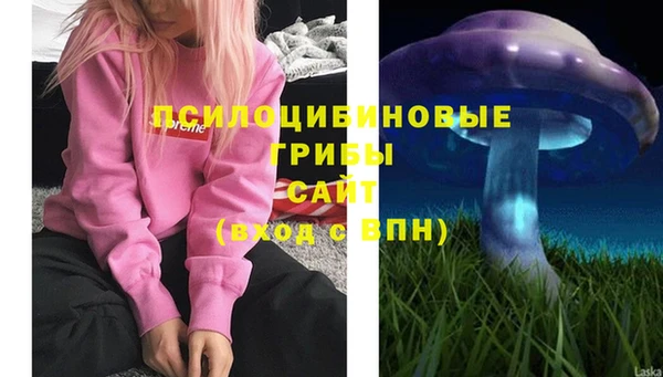 стаф Инсар