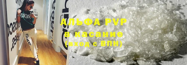 стаф Инсар