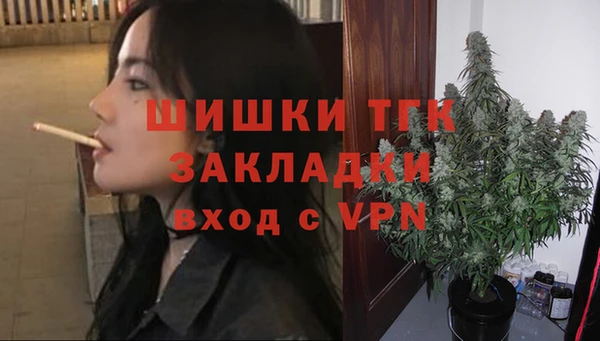 стаф Инсар
