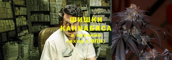 стаф Инсар