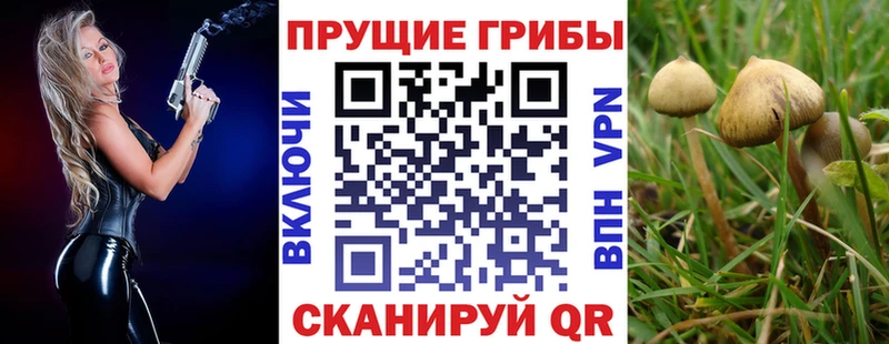 Галлюциногенные грибы Cubensis  Купить закладки  Старый Крым 